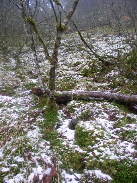 11.27.05 Nesmith Point 047 